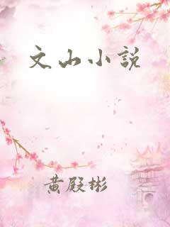 文山小说