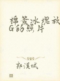 棉签冰块放入PG的照片