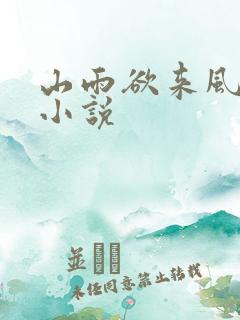 山雨欲来风满楼小说