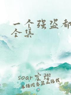 一个强盗都不留全集