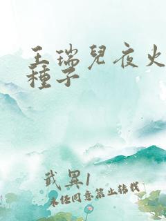王瑞儿夜火全套种子
