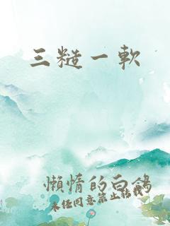 三糙一软