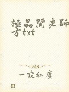 极品开光师李南方txt