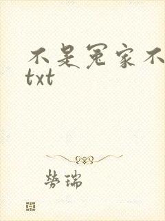 不是冤家不聚头txt