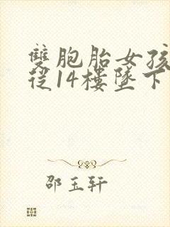 双胞胎女孩双双从14楼坠下