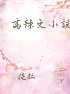高辣文小说