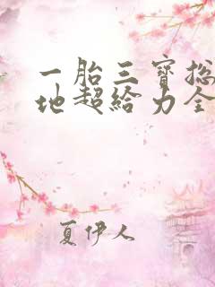 一胎三宝总裁爹地超给力全文免费阅读