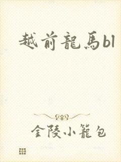 越前龙马bl