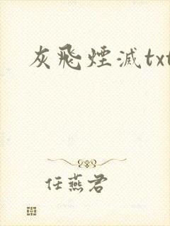 灰飞烟灭txt