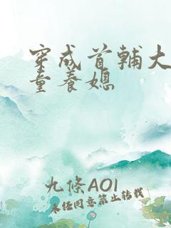 穿成首辅大人的童养媳