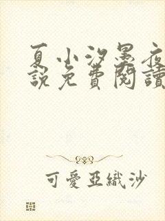 夏小汐墨夜霆小说免费阅读