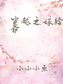 穿越之嫁给傻王爷