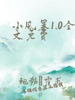 小风暴1.0全文免费