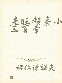 老旺超秦小雨第三百章