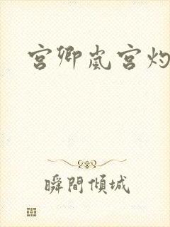 宫卿岚宫灼小说