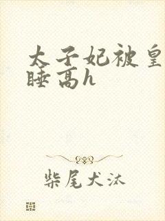 太子妃被皇上强睡高h