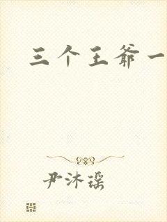 三个王爷一个妃