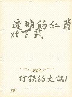 透明的红萝卜txt下载