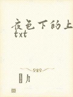夜色下的上海滩 txt