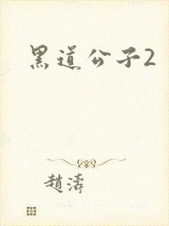 黑道公子2
