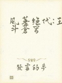 风华绝代:王妃斗苍穹