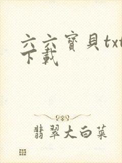 六六宝贝txt下载