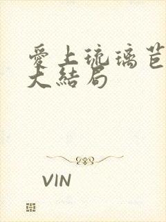 爱上琉璃苣女孩大结局