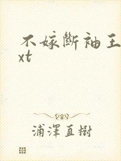 不嫁断袖王爷txt