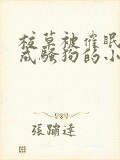 校草被催眠洗脑成骚狗的小说