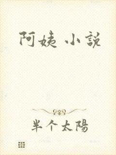 阿姨 小说