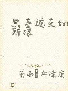 只手遮天txt新浪