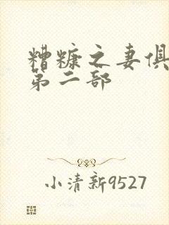 糟糠之妻俱乐部第二部