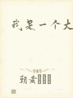 我是一个大盗贼