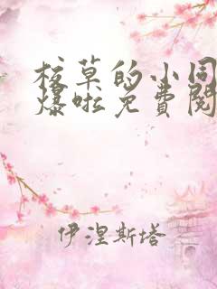 校草的小同桌撩爆啦免费阅读