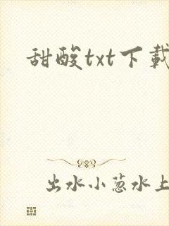 甜酸txt下载