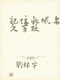 记住此域名记永久有效