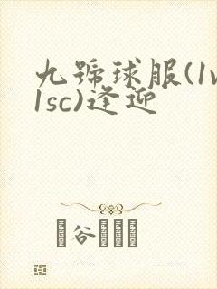 九号球服(1v1sc)逢迎