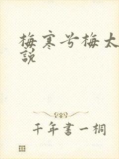 梅寒兮梅太颜小说