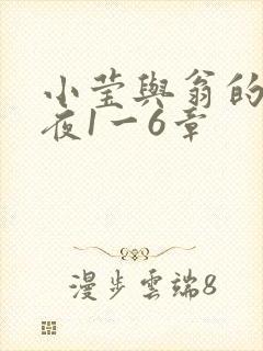 小莹与翁的销魂夜1一6章