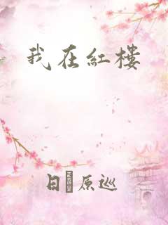 我在红楼