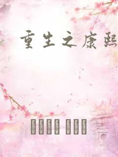 重生之康熙元后