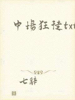 中场狂徒txt