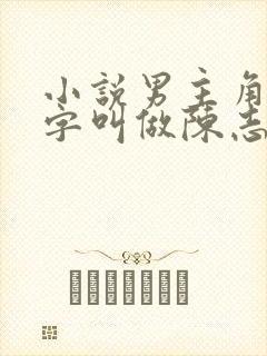 小说男主角的名字叫做陈志远