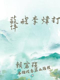 苏醒李炜打架事件