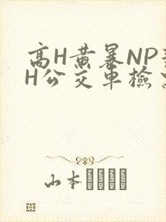 高H黄暴NP辣H公交车检票员