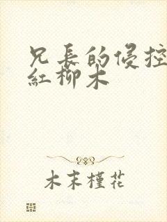 兄长的侵控by红柳木