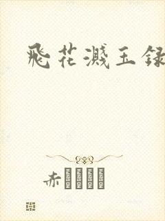 飞花溅玉录