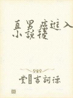 直男癌进入言情小说后