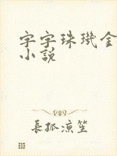 字字珠玑金银花小说