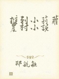 推到小莉萝稚嫩农村小说